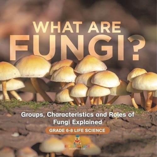 What are Fungi? Groups, Characteristics and Roles of Fungi Explained Grade 6-8 Life Science