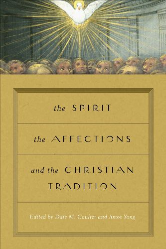 Cover image for The Spirit, the Affections, and the Christian Tradition