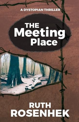 Cover image for The Meeting Place