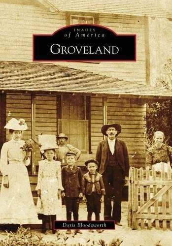 Cover image for Groveland