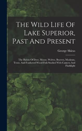 Cover image for The Wild Life Of Lake Superior, Past And Present