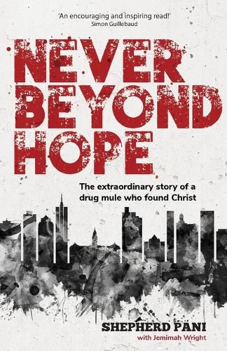 Cover image for Never Beyond Hope
