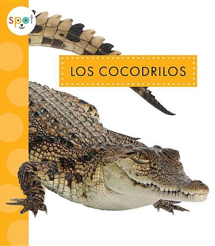 Cover image for Los Cocodrilos