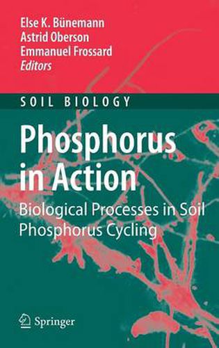 Cover image for Phosphorus in Action: Biological Processes in Soil Phosphorus Cycling