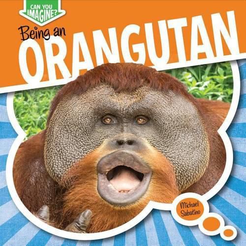 Being an Orangutan