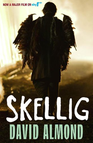 Cover image for Skellig