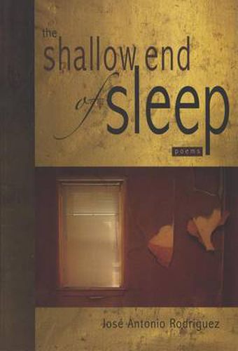 Cover image for The Shallow End of Sleep