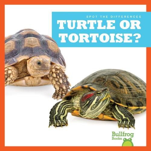 Cover image for Turtle or Tortoise?