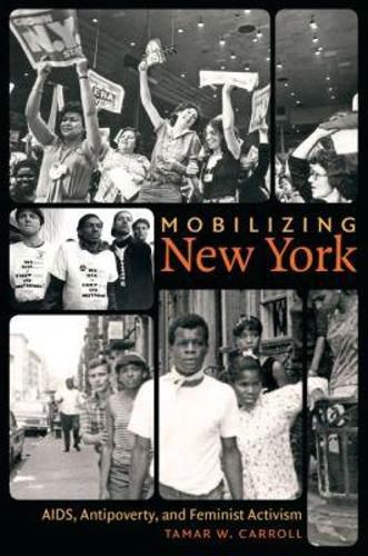 Cover image for Mobilizing New York: AIDS, Antipoverty, and Feminist Activism