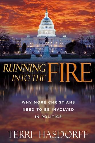 Cover image for Running Into the Fire