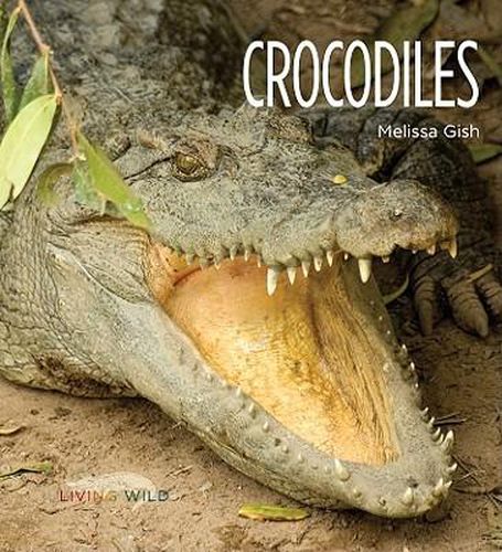 Crocodiles