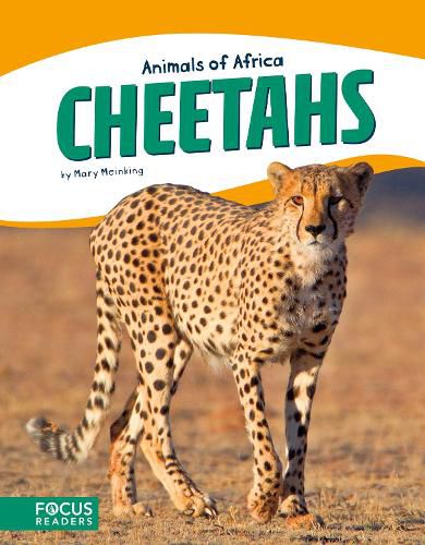 Animals of Africa: Cheetahs