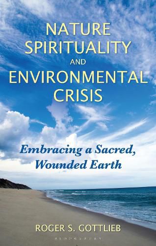 Cover image for Nature Spirituality and Environmental Crisis