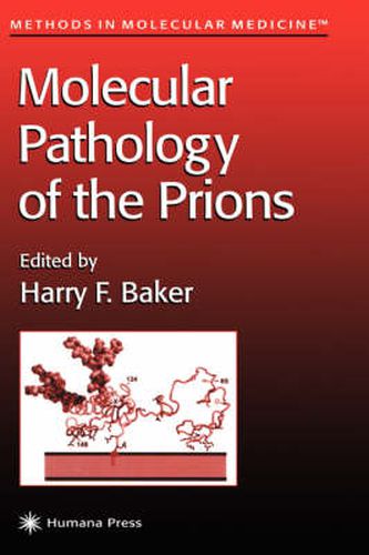 Cover image for Molecular Pathology of the Prions