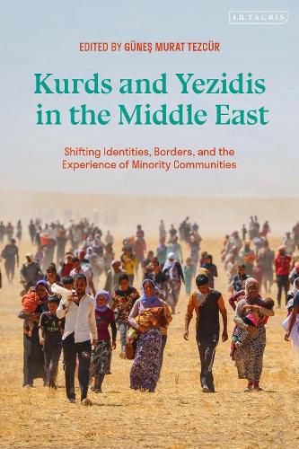 Cover image for Kurds and Yezidis in the Middle East: Shifting Identities, Borders, and the Experience of Minority Communities