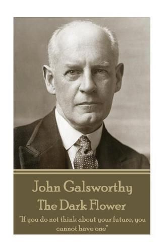 Cover image for John Galsworthy - The Dark Flower: If you do not think about your future, you cannot have one