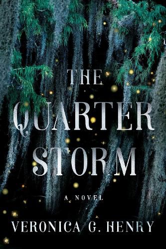 The Quarter Storm: A Novel