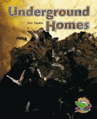 Cover image for Underground Homes