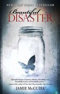 Cover image for Beautiful Disaster