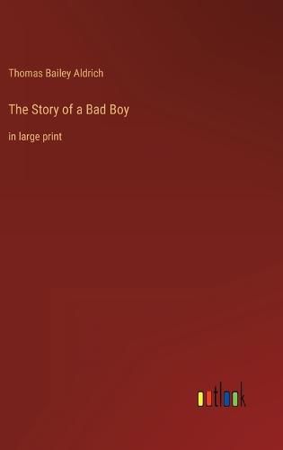 Cover image for The Story of a Bad Boy