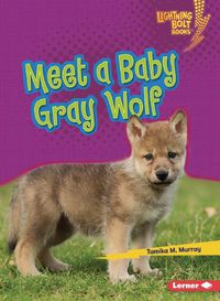 Cover image for Meet a Baby Gray Wolf