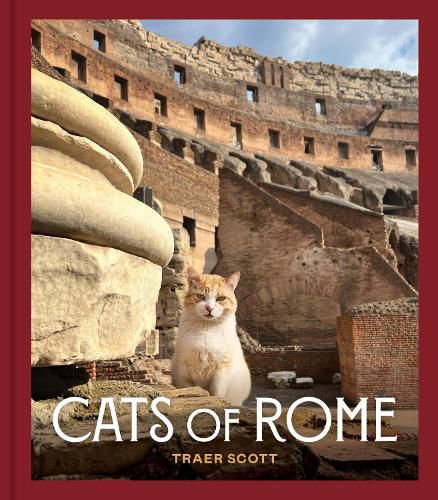 Cats of Rome