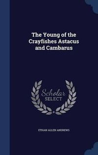 Cover image for The Young of the Crayfishes Astacus and Cambarus
