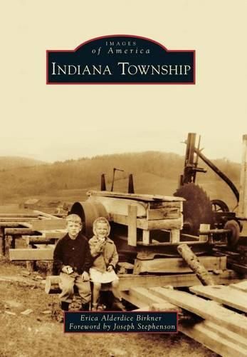 Cover image for Indiana Township