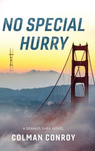 Cover image for No Special Hurry