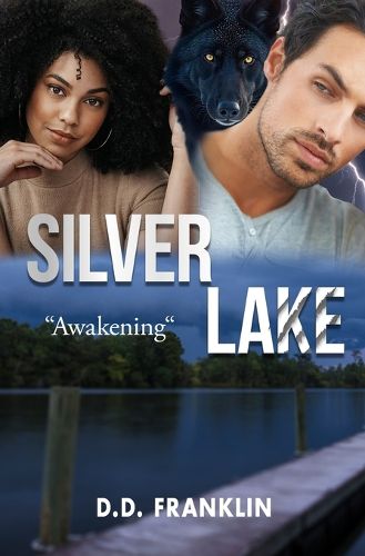 Cover image for Silver Lake