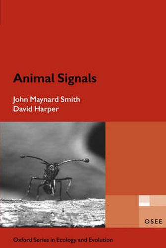 Cover image for Animal Signals