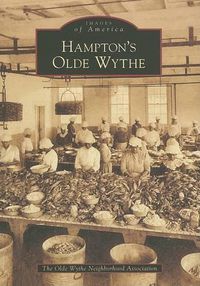 Cover image for Hampton's Old Wythe, Va