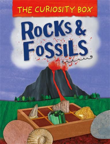 Cover image for The Curiosity Box: Rocks and Fossils