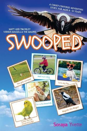 Cover image for Swooped