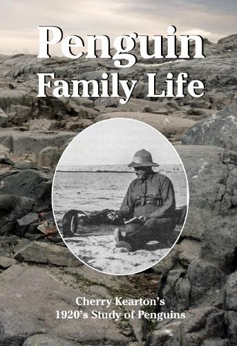 Cover image for Penguin Family Life