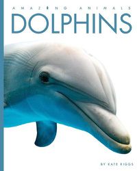 Cover image for Dolphins