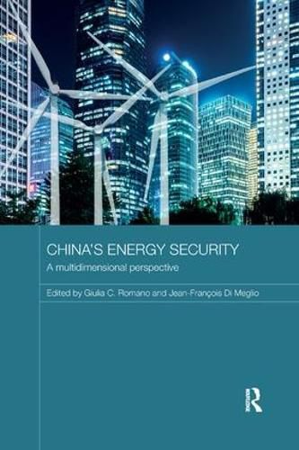 Cover image for China's Energy Security: A Multidimensional Perspective