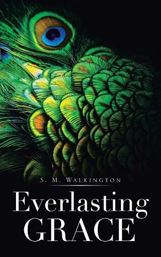 Cover image for Everlasting Grace