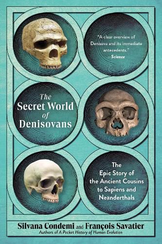 Cover image for The Secret World of Denisovans