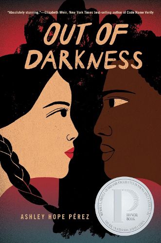 Cover image for Out of Darkness