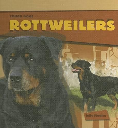 Cover image for Rottweilers