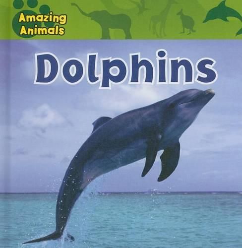 Dolphins