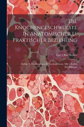 Cover image for Die Knochengeschwuelste In Anatomischer U. Praktischer Beziehung