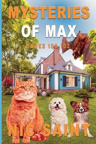 Cover image for Mysteries of Max