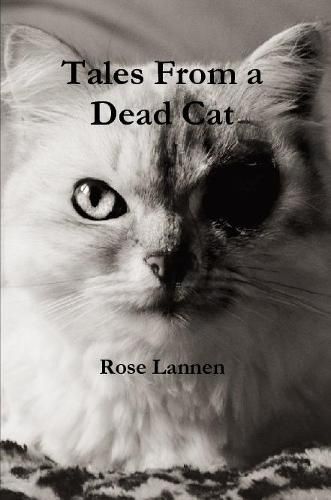 Tales From a Dead Cat