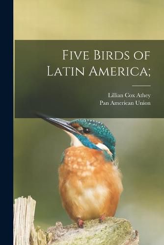 Cover image for Five Birds of Latin America;