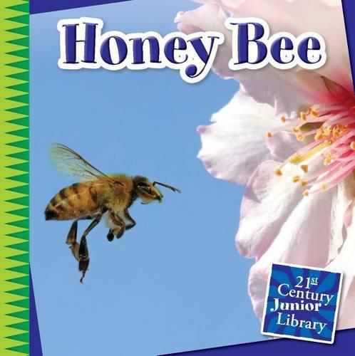 Cover image for Honey Bee