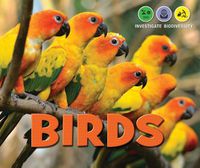 Cover image for Birds