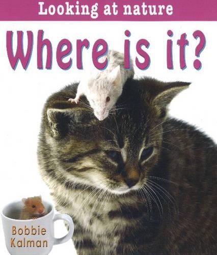 Cover image for Where is It?