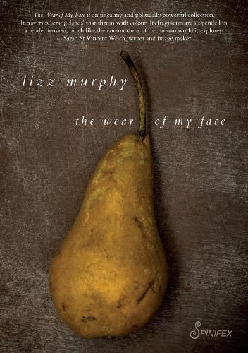 Cover image for The Wear of My Face